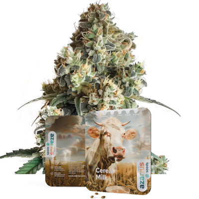 Cereal Milk - Cannabis Seeds by Azarius Seeds