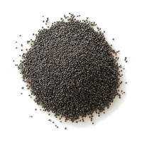 Explore the Unique Properties of Poppy Seeds | Azarius