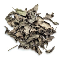 Buy Premium Salvia Divinorum Dried Leaves From Azarius